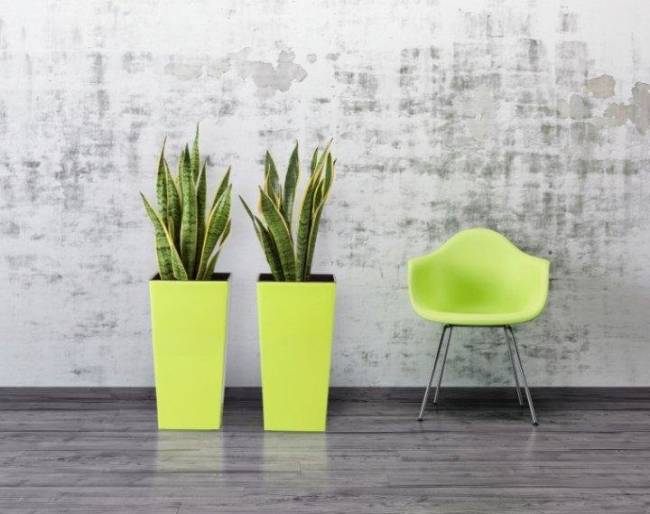 Кашпо для цветов URBI SQUARE DURS400-370U (40/91,5 л) 2 предмета Кашпо для цветов URBI SQUARE DURS400-370U (40/91,5 л) 2 предмета